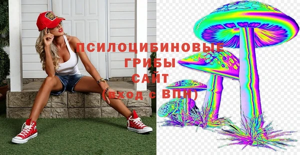 марки lsd Богородицк